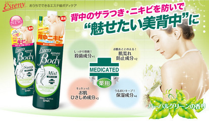 日本問屋直發(fā) 日本化妝品批發(fā) SANA Esteny系列 薄荷祛痘沐浴露 - 日本問屋直發(fā) 日本化妝品批發(fā) SANA Esteny系列 薄荷祛痘沐浴露廠家 - 日本問屋直發(fā) 日本化妝品批發(fā) SANA Esteny系列 薄荷祛痘沐浴露價(jià)格 - TOKUSYOU TRADE CO. - 