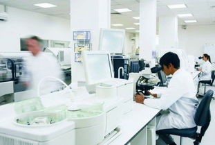 玫瑰綻放富陽，國妝筑夢未來 記杭州好公司的民族品牌之路